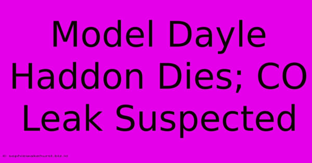 Model Dayle Haddon Dies; CO Leak Suspected