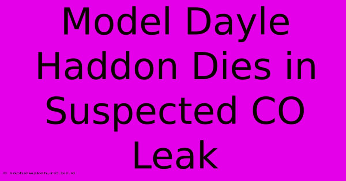 Model Dayle Haddon Dies In Suspected CO Leak