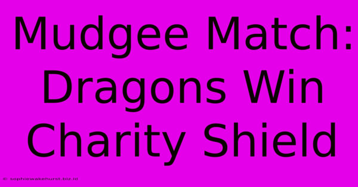 Mudgee Match: Dragons Win Charity Shield