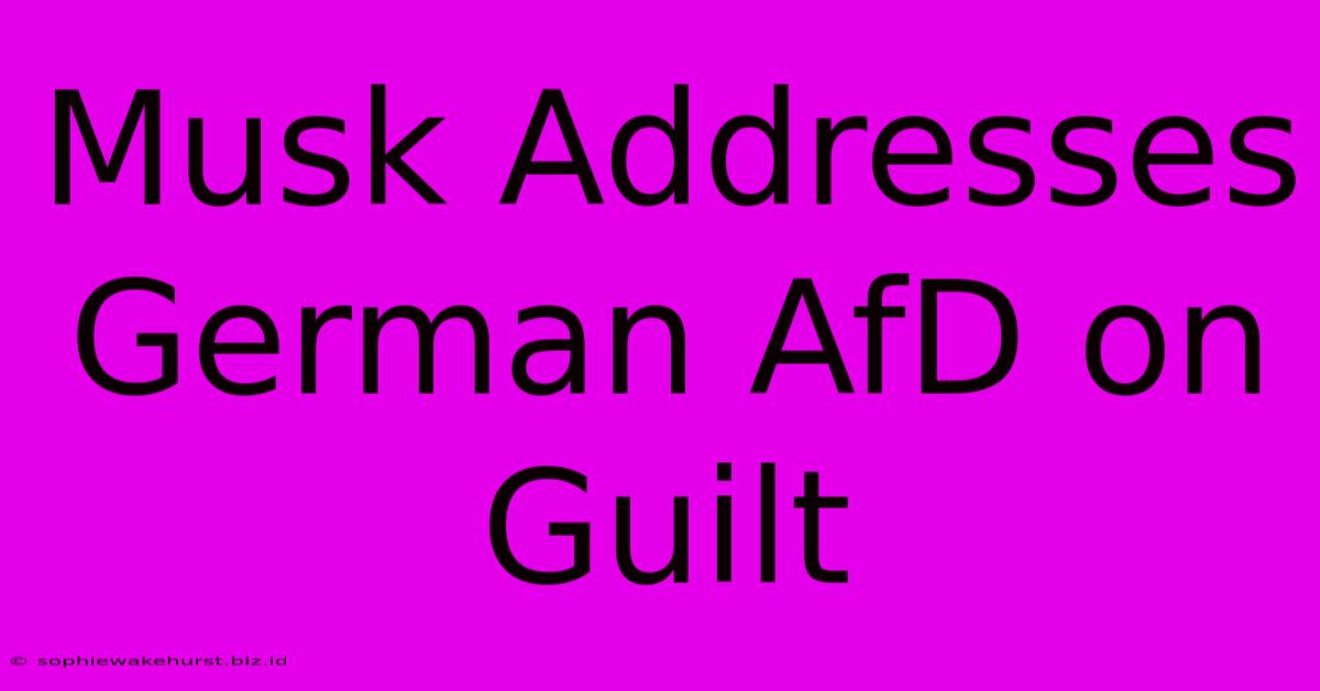 Musk Addresses German AfD On Guilt