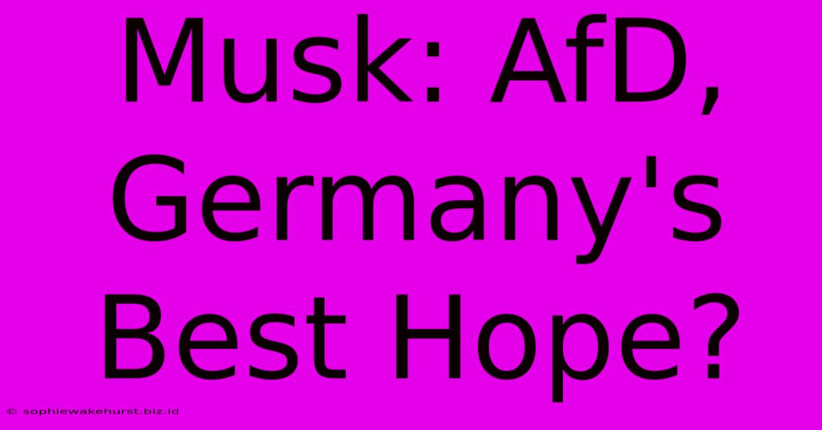 Musk: AfD, Germany's Best Hope?