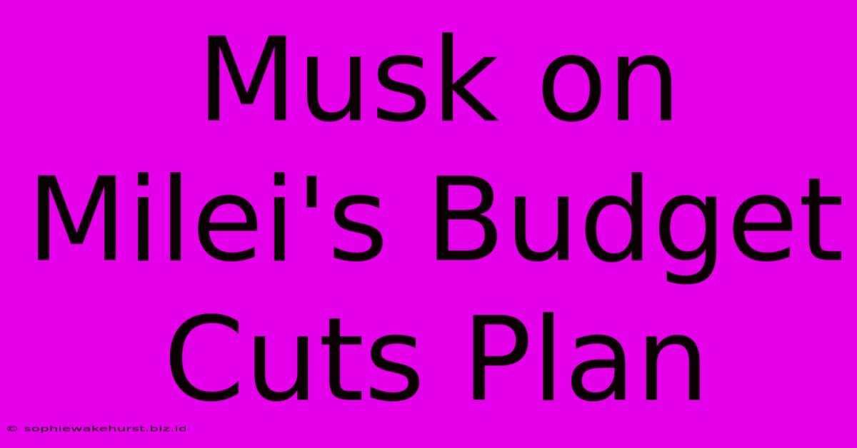 Musk On Milei's Budget Cuts Plan