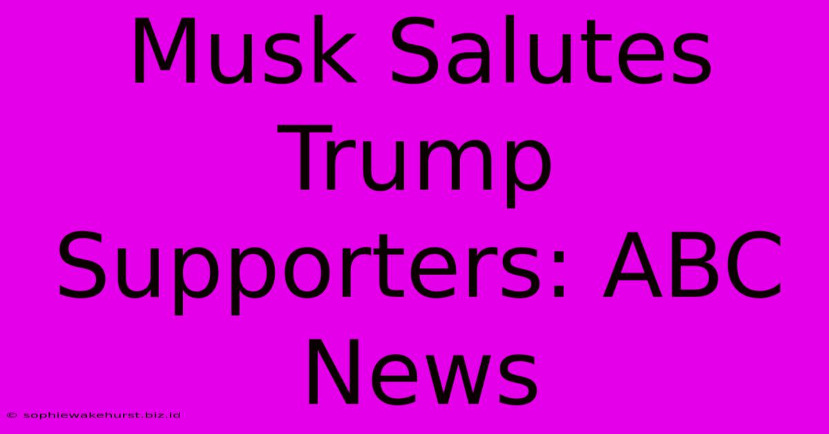 Musk Salutes Trump Supporters: ABC News