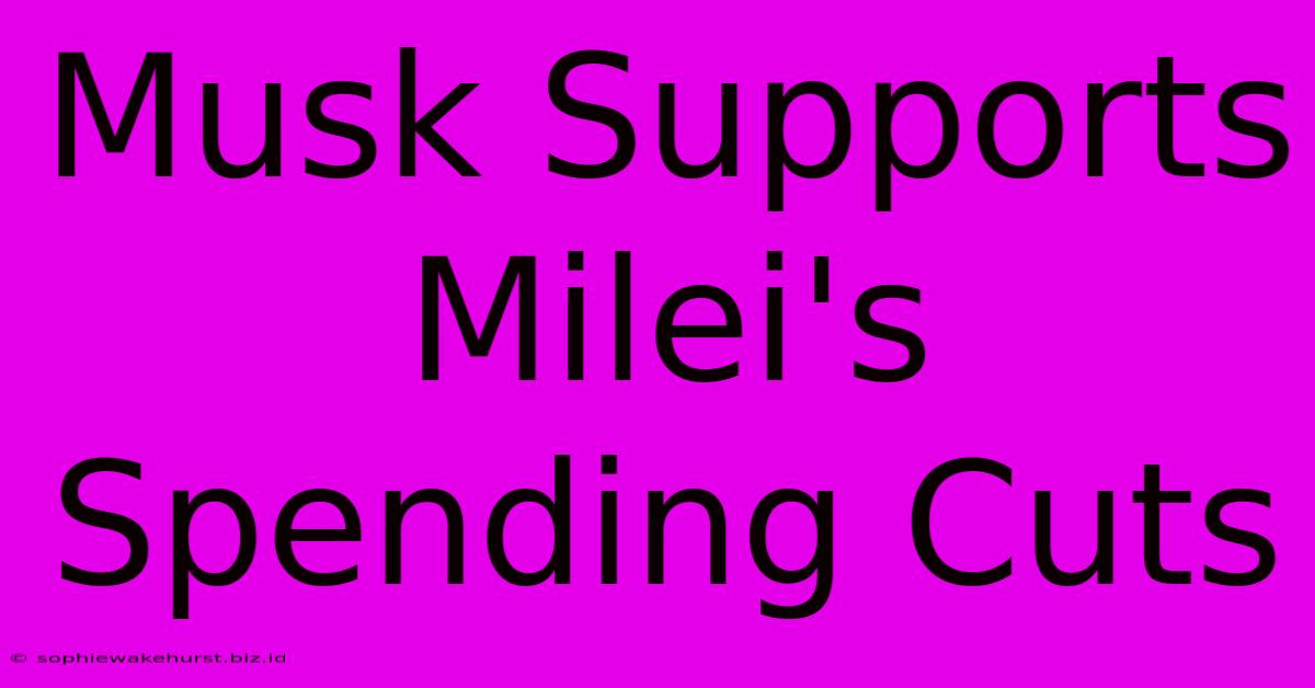 Musk Supports Milei's Spending Cuts