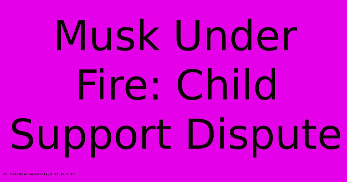 Musk Under Fire: Child Support Dispute