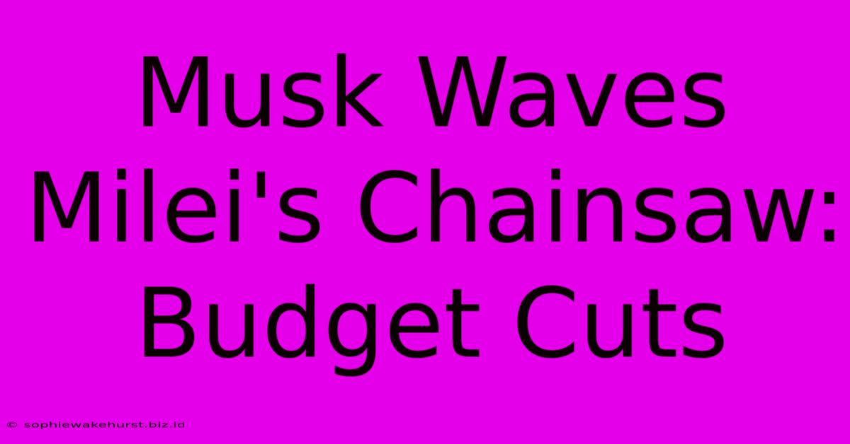 Musk Waves Milei's Chainsaw: Budget Cuts