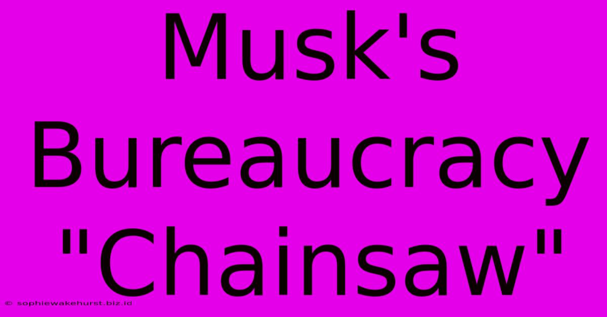 Musk's Bureaucracy 