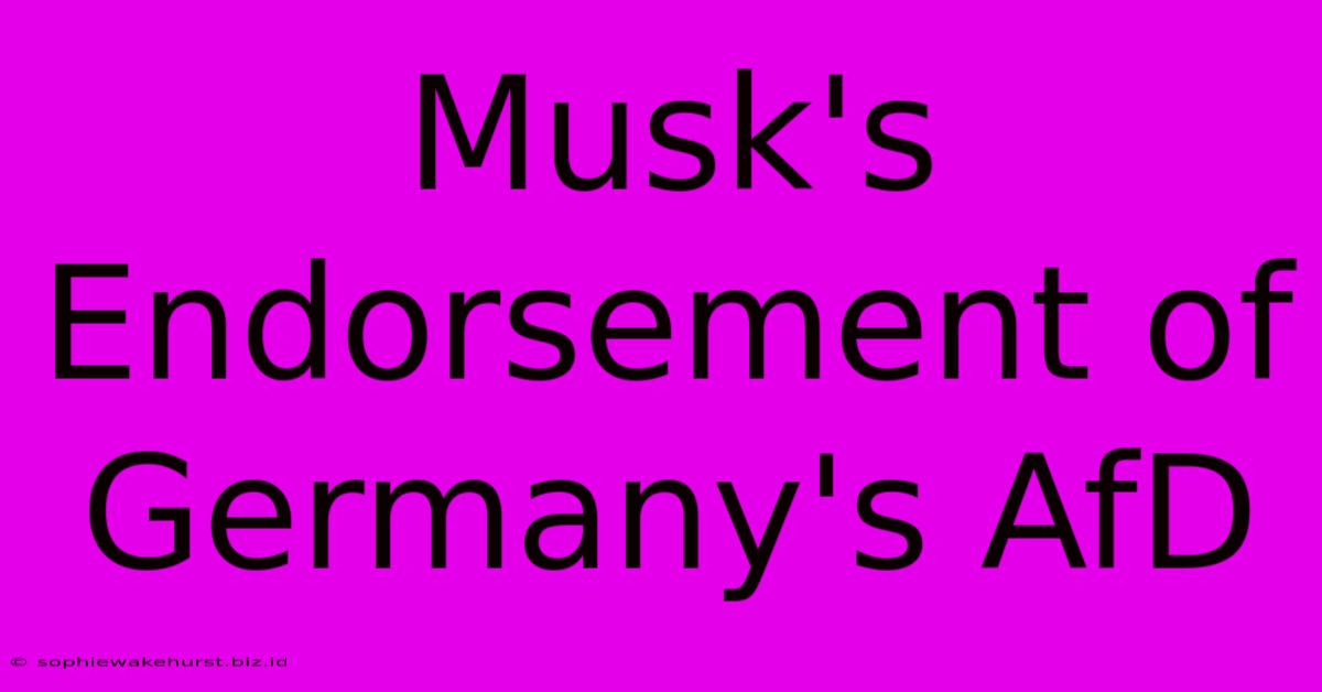 Musk's Endorsement Of Germany's AfD