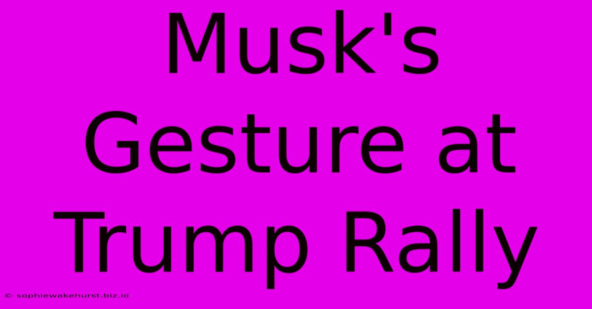 Musk's Gesture At Trump Rally