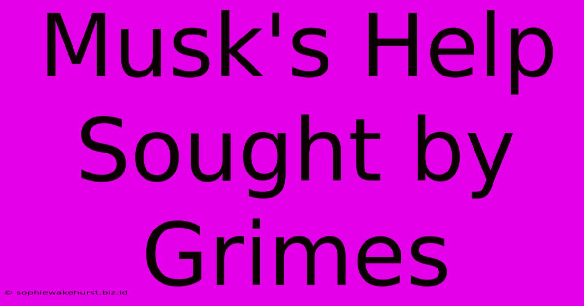 Musk's Help Sought By Grimes