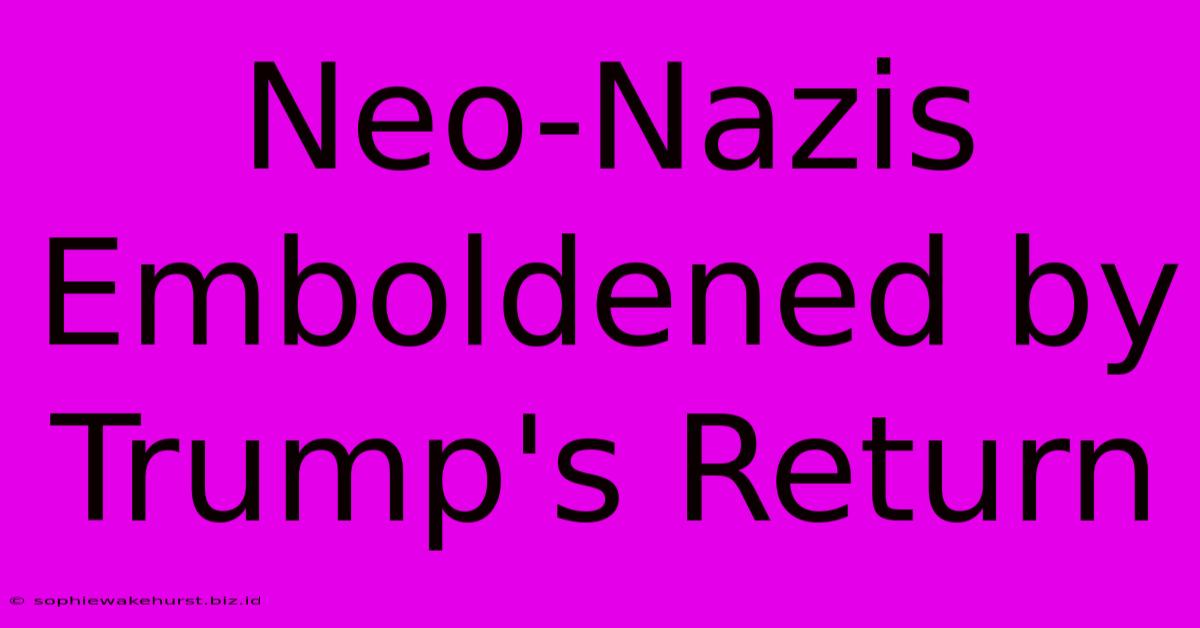 Neo-Nazis Emboldened By Trump's Return