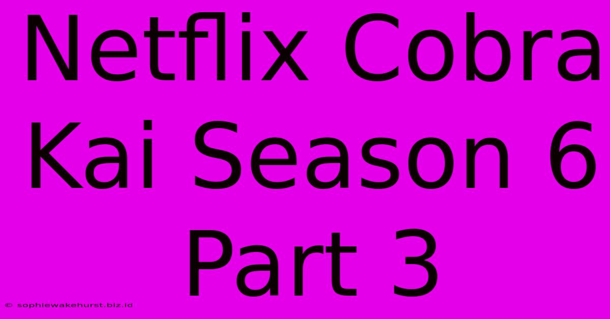 Netflix Cobra Kai Season 6 Part 3