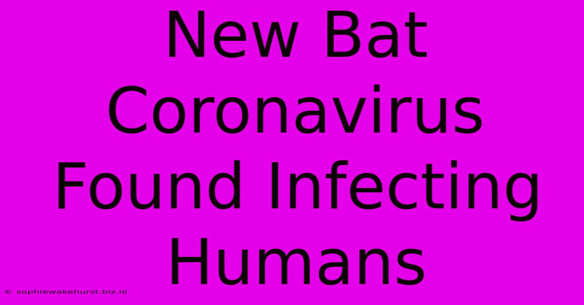 New Bat Coronavirus Found Infecting Humans