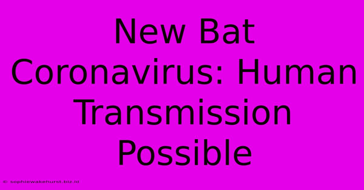 New Bat Coronavirus: Human Transmission Possible