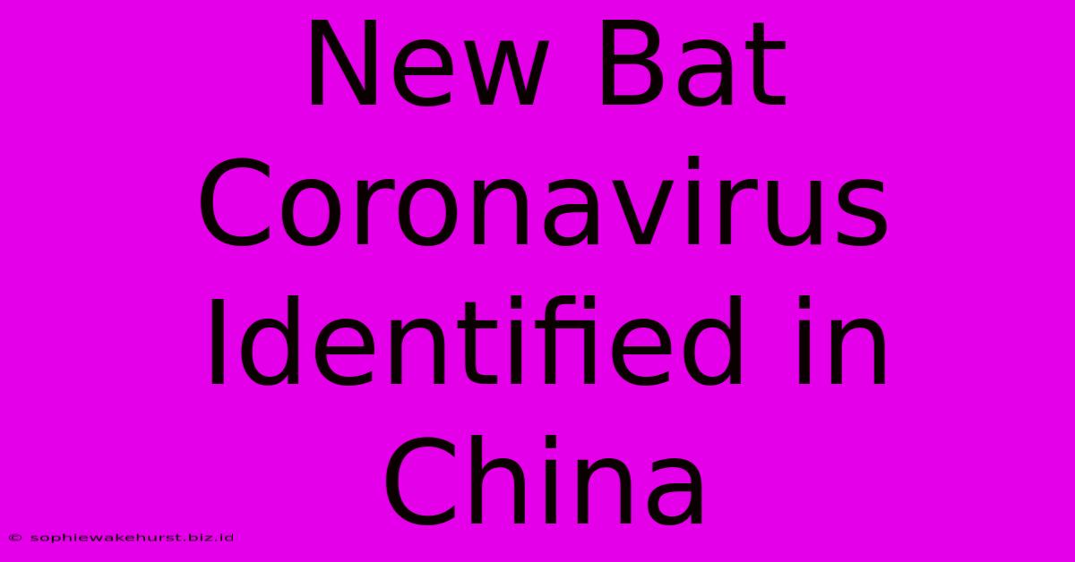 New Bat Coronavirus Identified In China