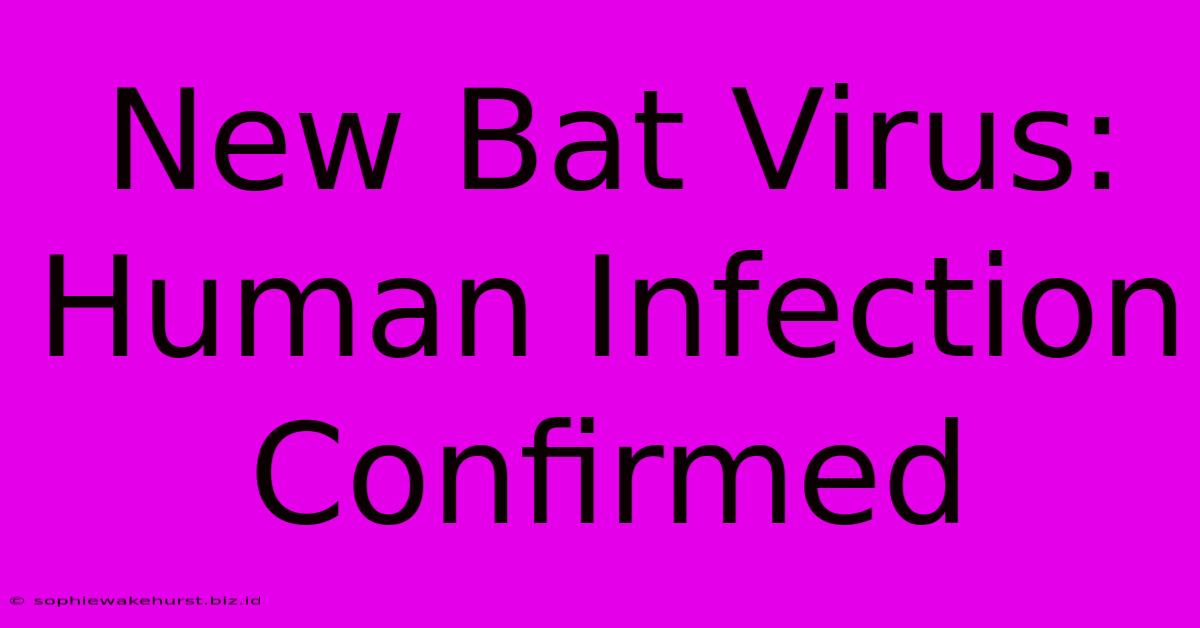 New Bat Virus: Human Infection Confirmed