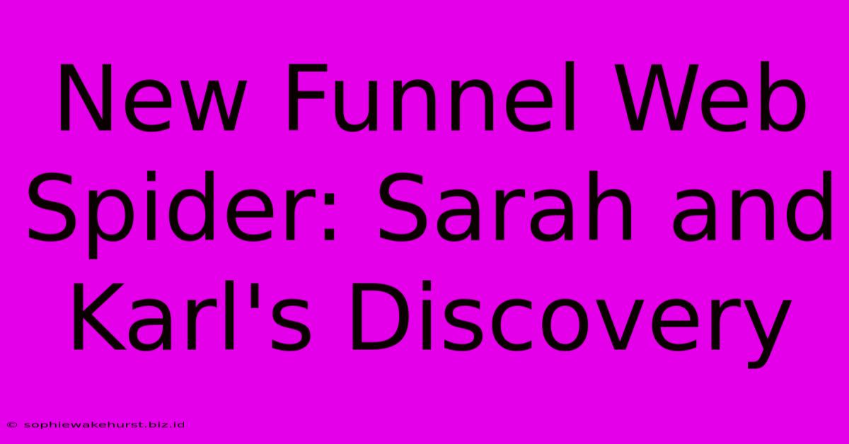 New Funnel Web Spider: Sarah And Karl's Discovery