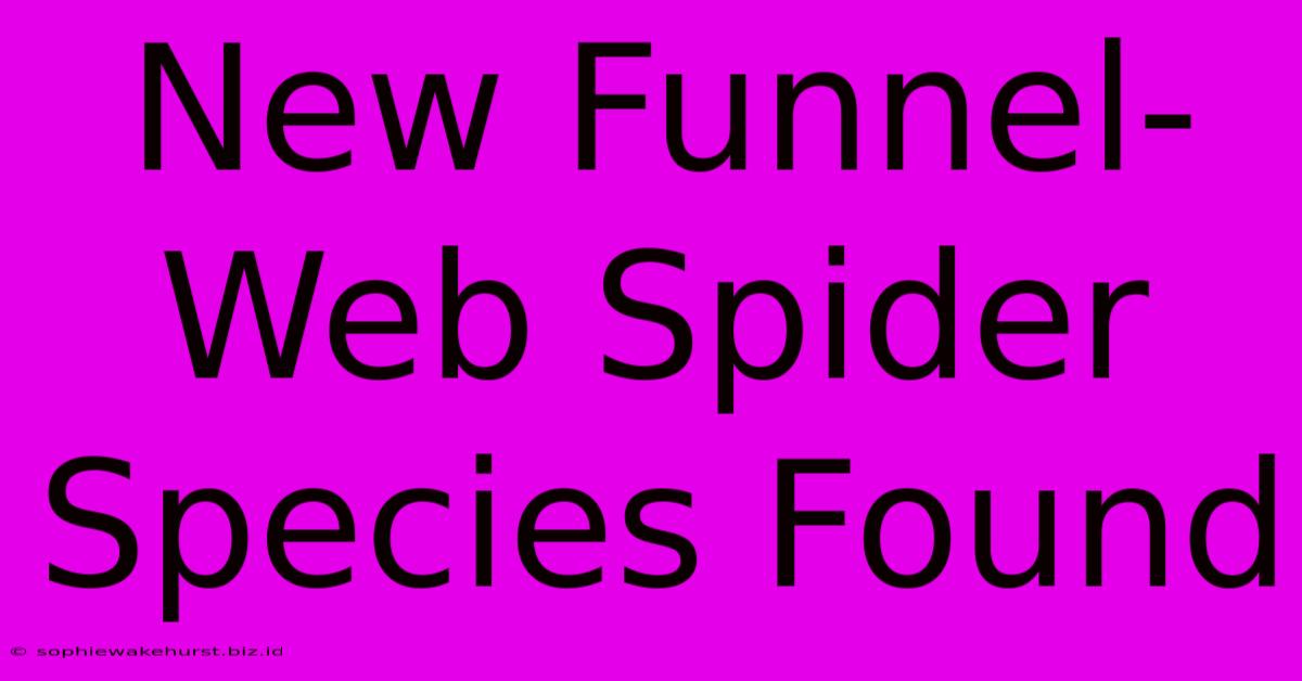 New Funnel-Web Spider Species Found