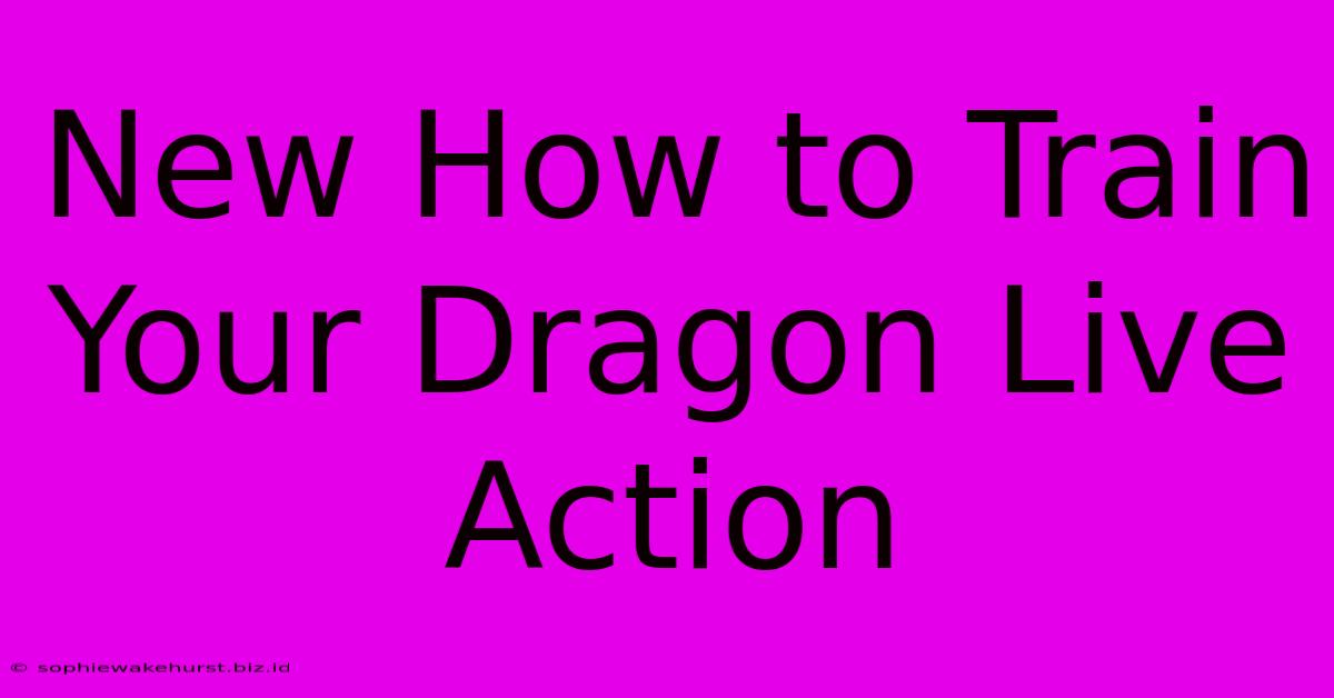 New How To Train Your Dragon Live Action