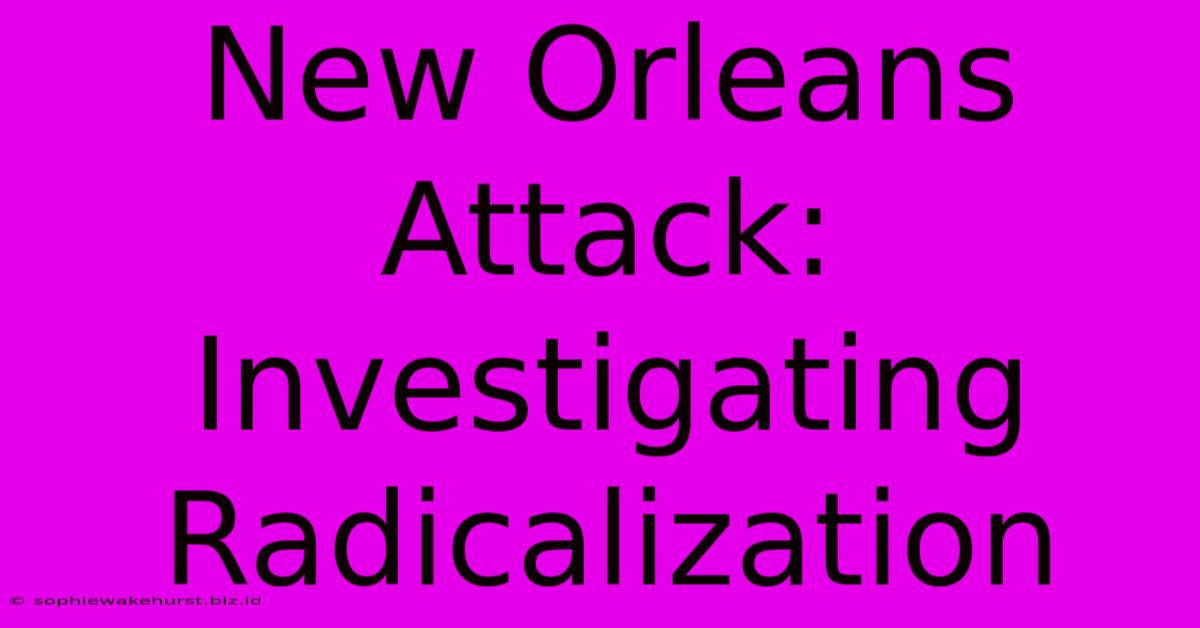 New Orleans Attack: Investigating Radicalization