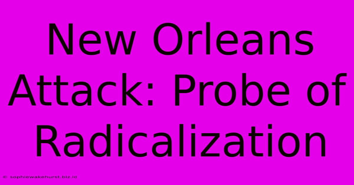 New Orleans Attack: Probe Of Radicalization