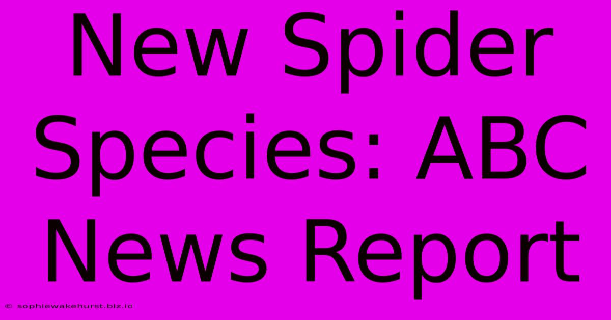 New Spider Species: ABC News Report