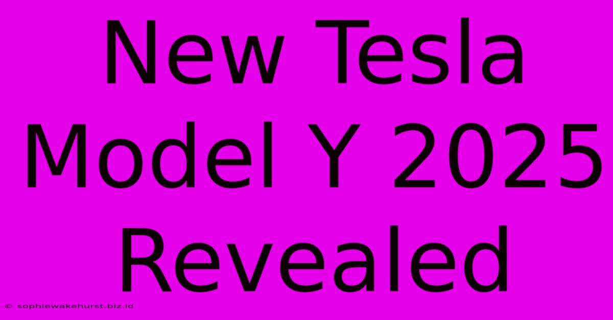 New Tesla Model Y 2025 Revealed