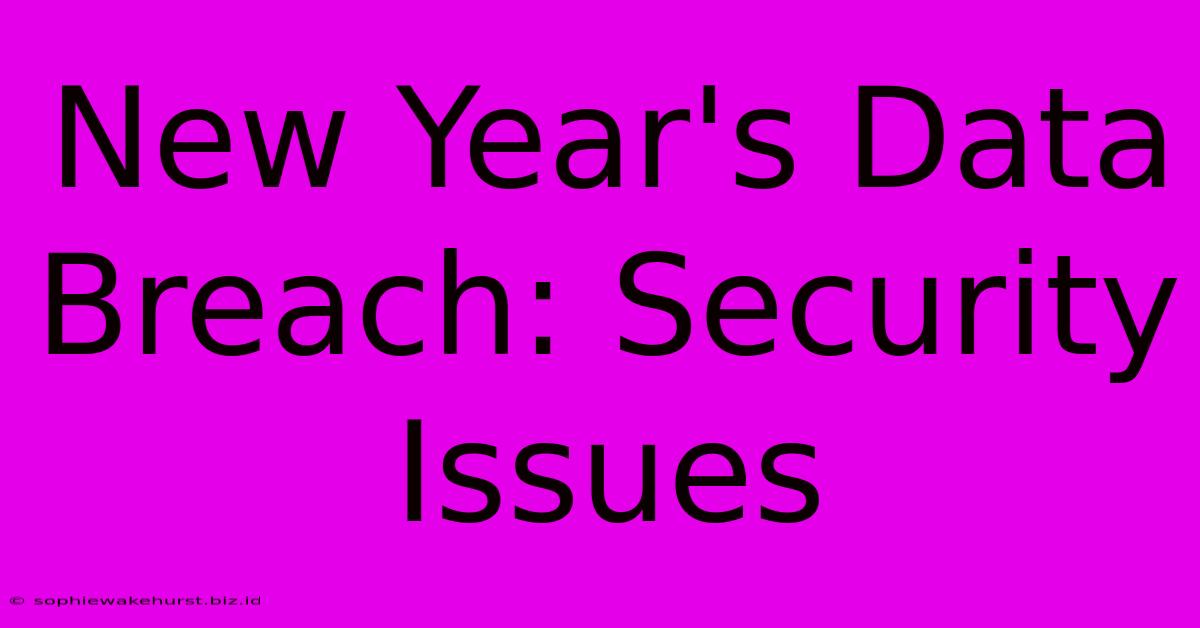 New Year's Data Breach: Security Issues