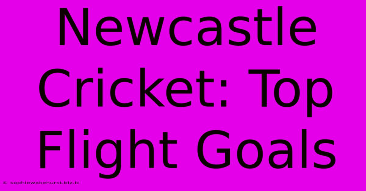 Newcastle Cricket: Top Flight Goals