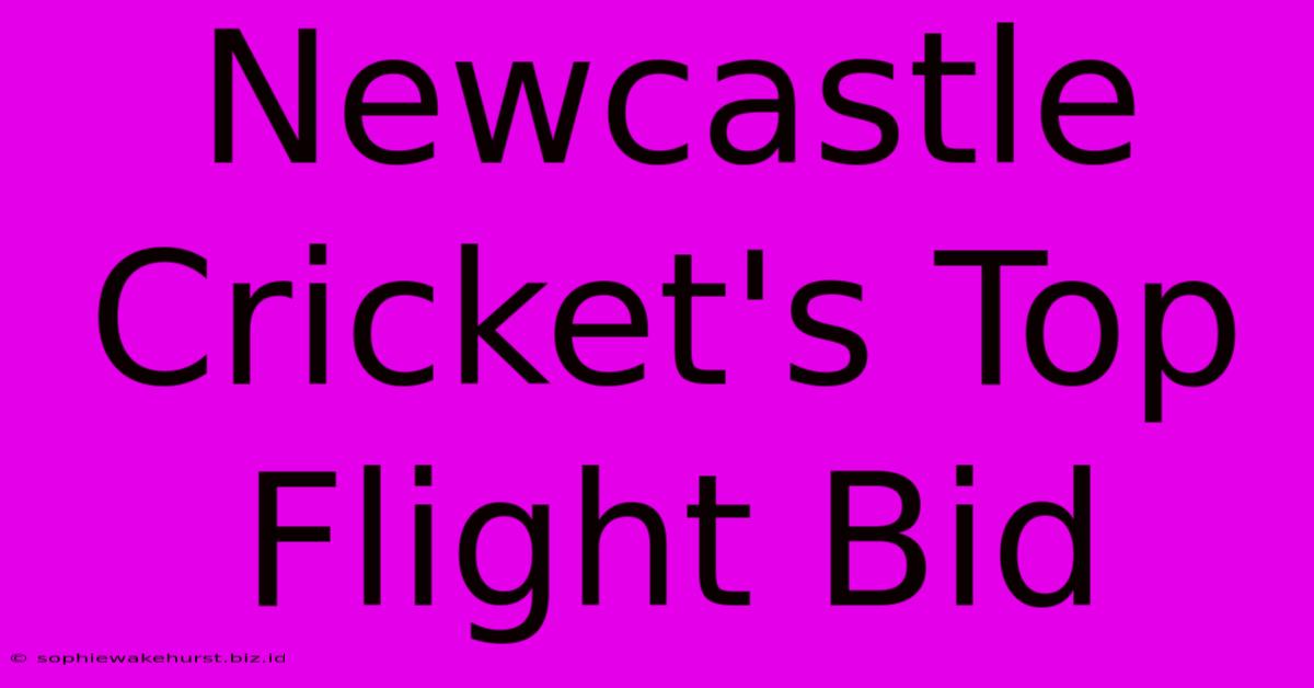 Newcastle Cricket's Top Flight Bid