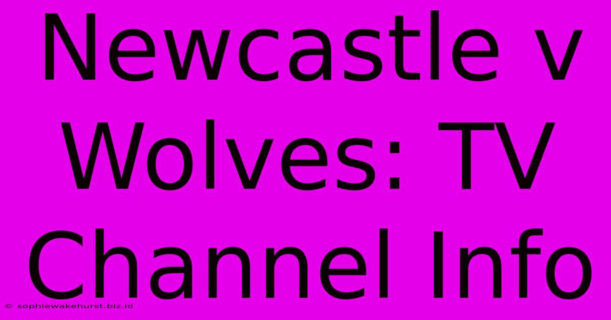 Newcastle V Wolves: TV Channel Info