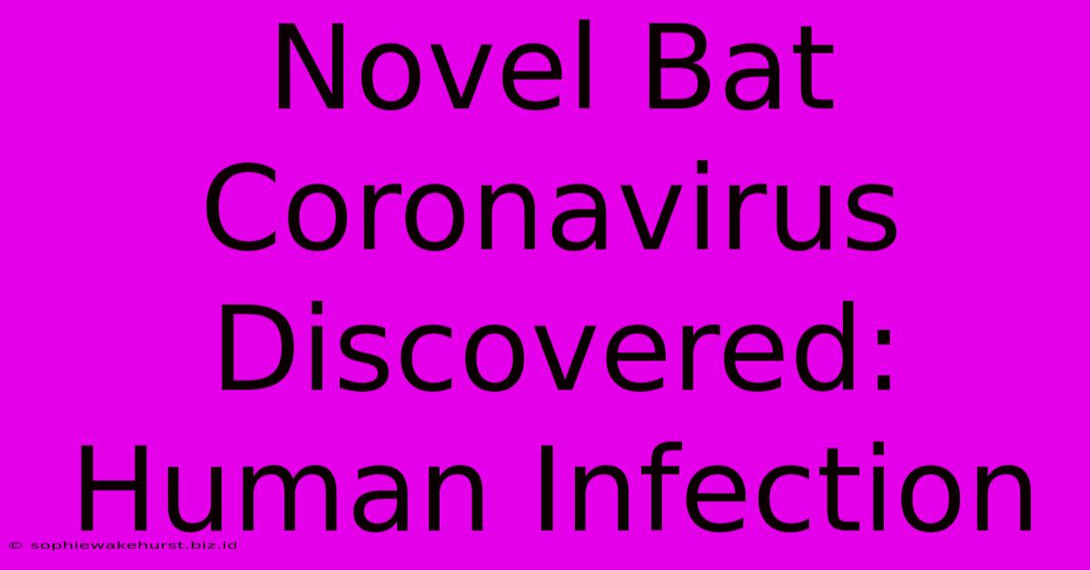 Novel Bat Coronavirus Discovered: Human Infection