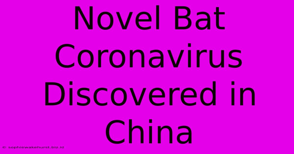 Novel Bat Coronavirus Discovered In China