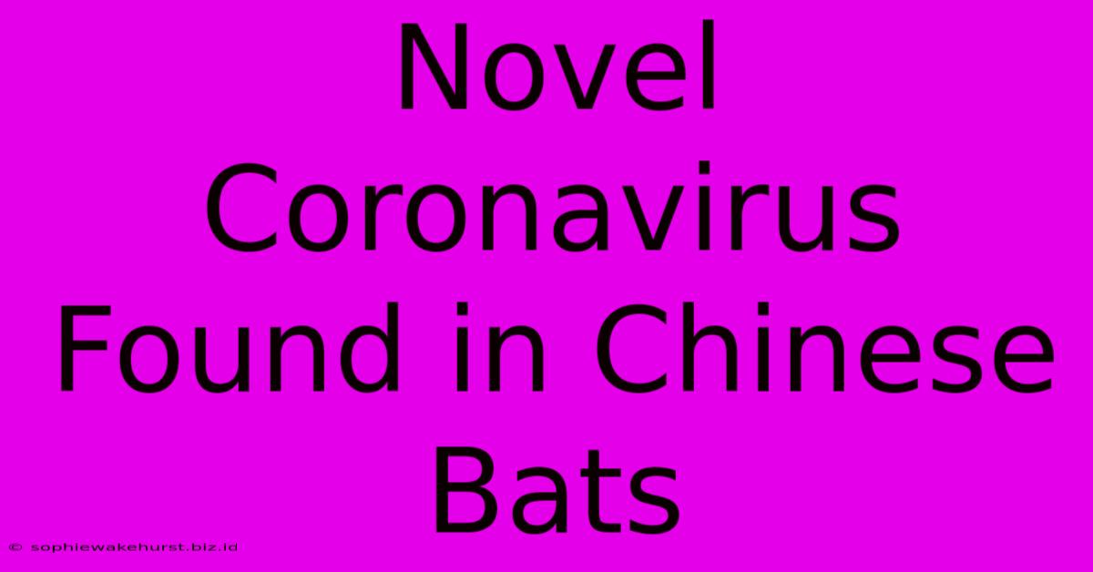 Novel Coronavirus Found In Chinese Bats