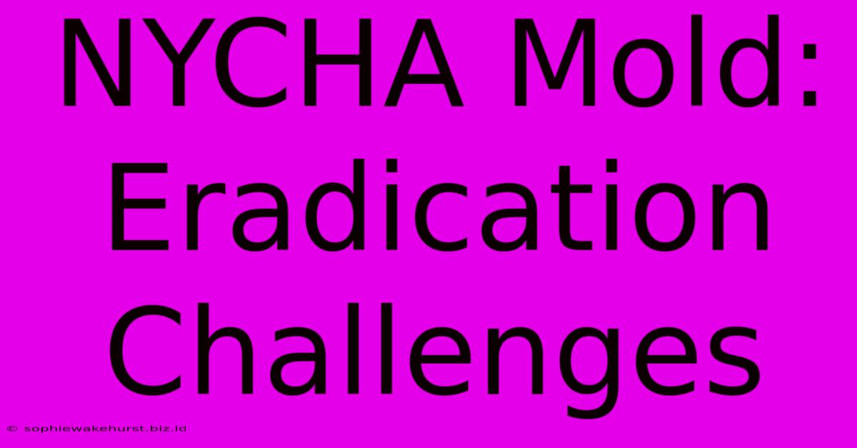 NYCHA Mold: Eradication Challenges