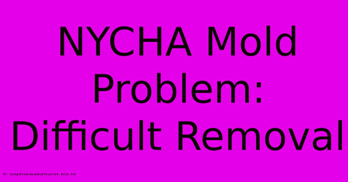 NYCHA Mold Problem: Difficult Removal