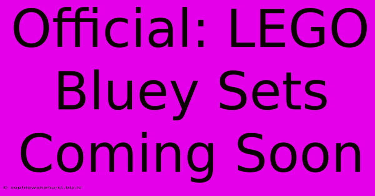 Official: LEGO Bluey Sets Coming Soon