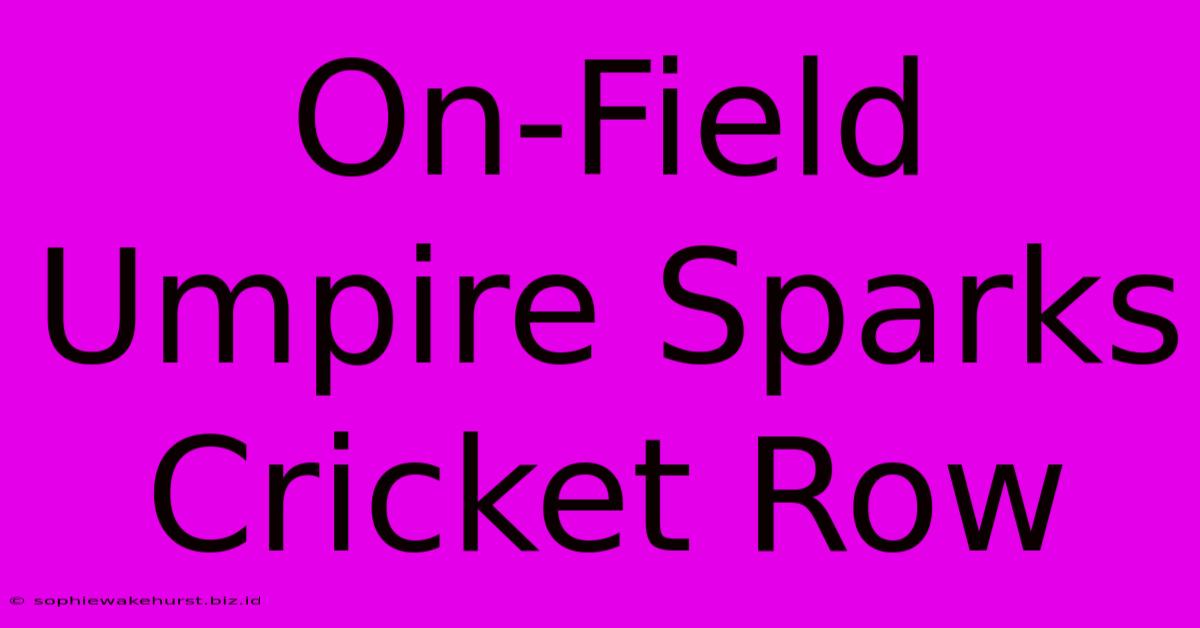 On-Field Umpire Sparks Cricket Row