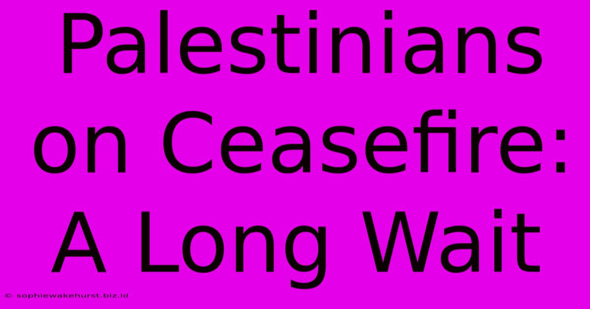 Palestinians On Ceasefire: A Long Wait