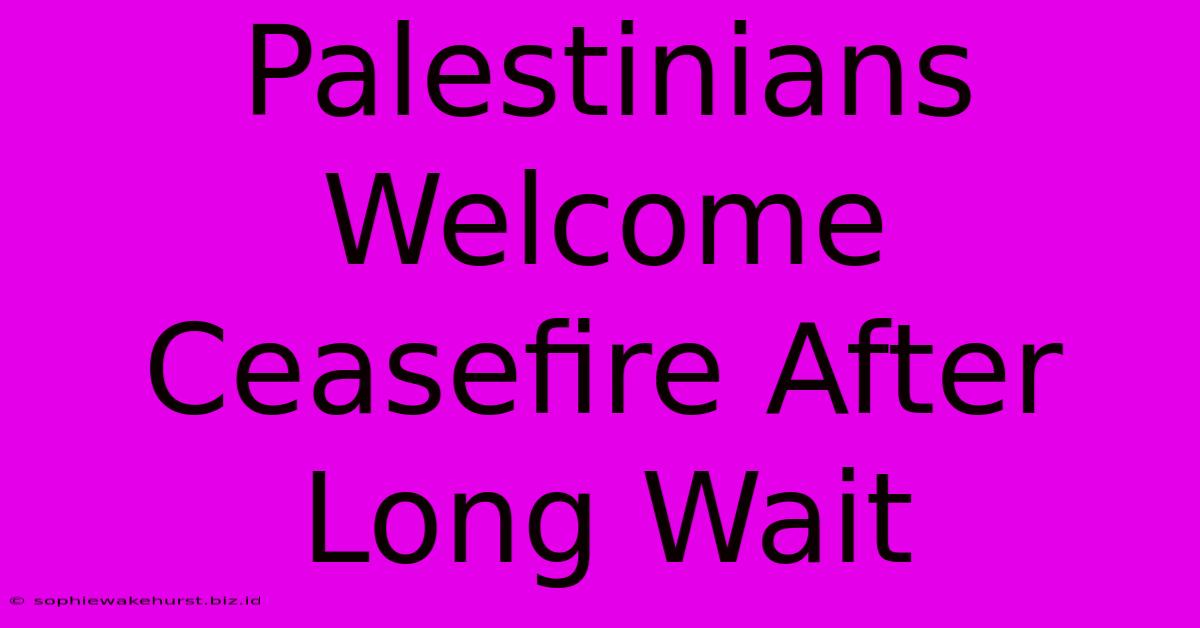 Palestinians Welcome Ceasefire After Long Wait