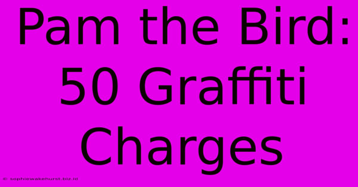 Pam The Bird: 50 Graffiti Charges