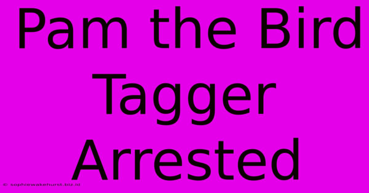 Pam The Bird Tagger Arrested