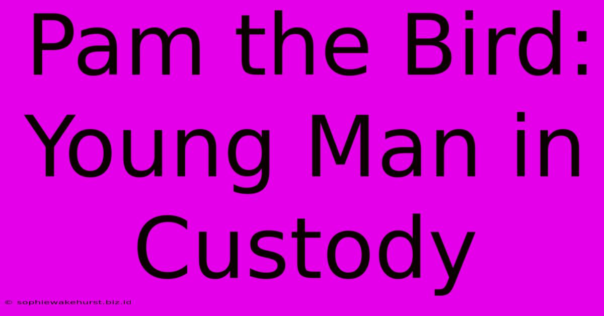 Pam The Bird: Young Man In Custody