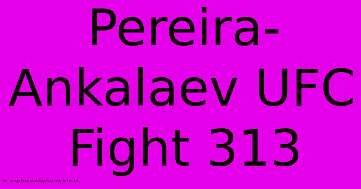 Pereira-Ankalaev UFC Fight 313