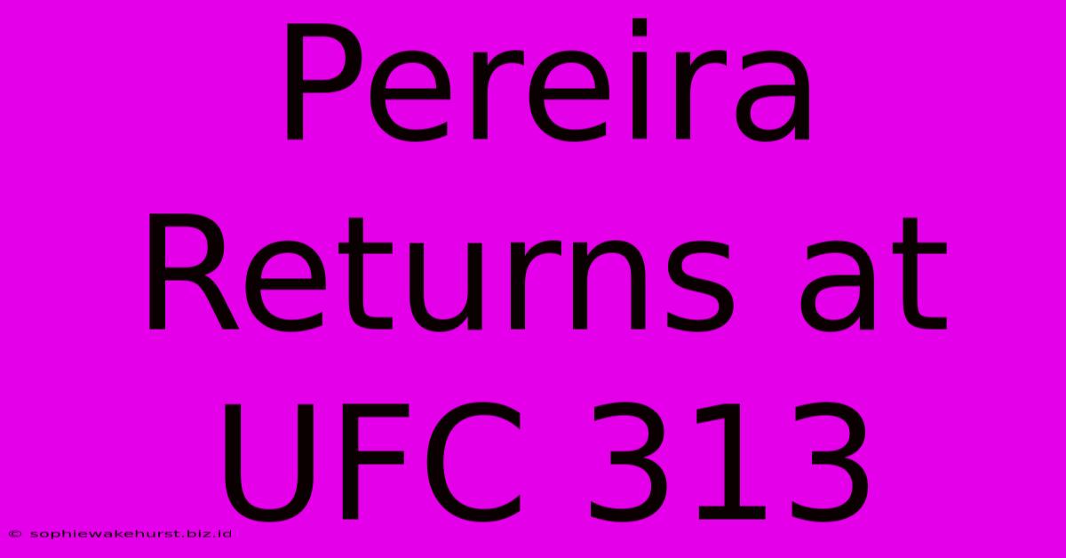 Pereira Returns At UFC 313