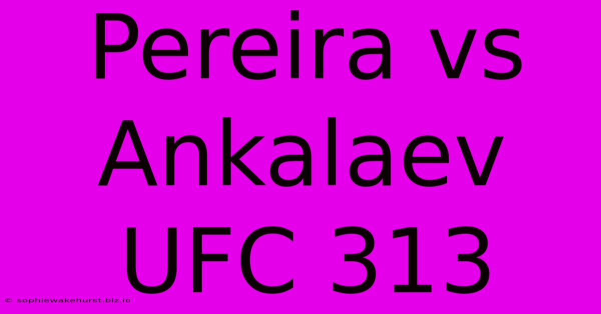 Pereira Vs Ankalaev UFC 313