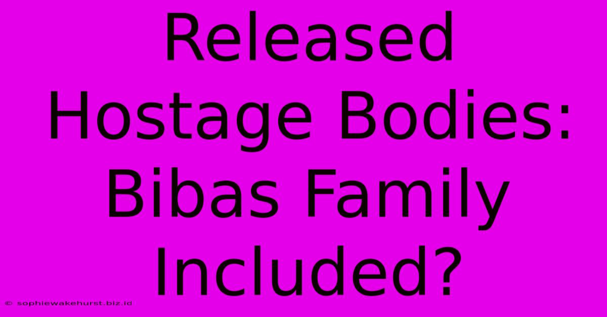 Released Hostage Bodies: Bibas Family Included?