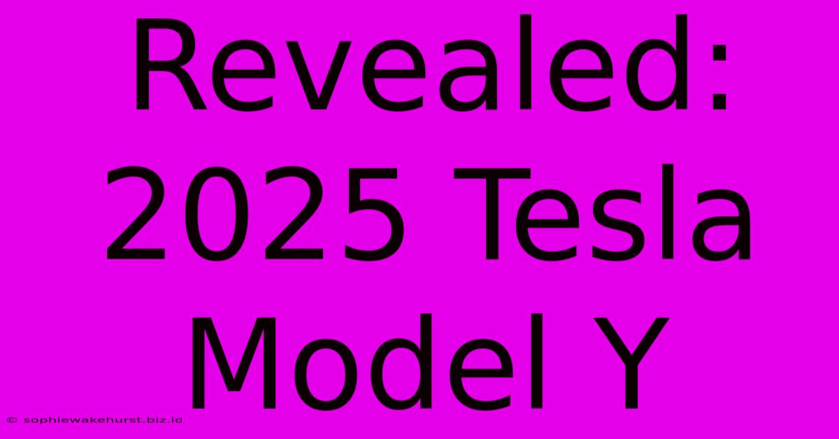 Revealed: 2025 Tesla Model Y