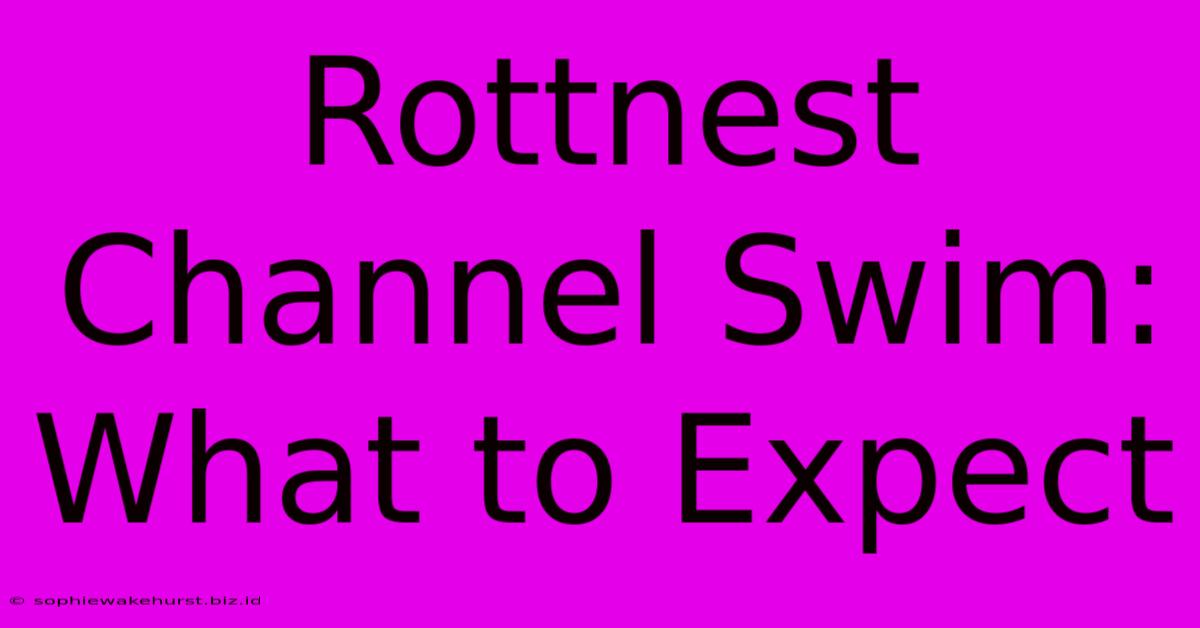 Rottnest Channel Swim: What To Expect