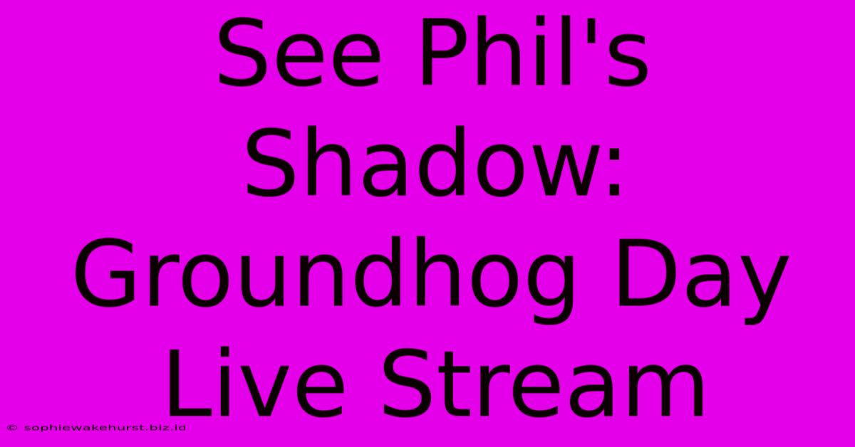 See Phil's Shadow: Groundhog Day Live Stream